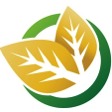 wirral garden maintenance gardener